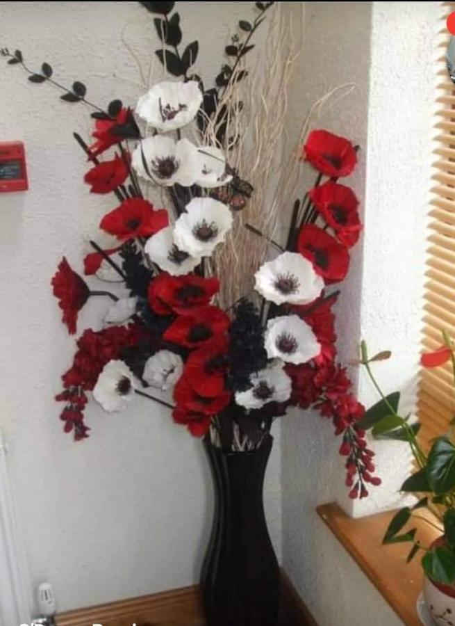 Clare Street B&B Nenagh ภายนอก รูปภาพ